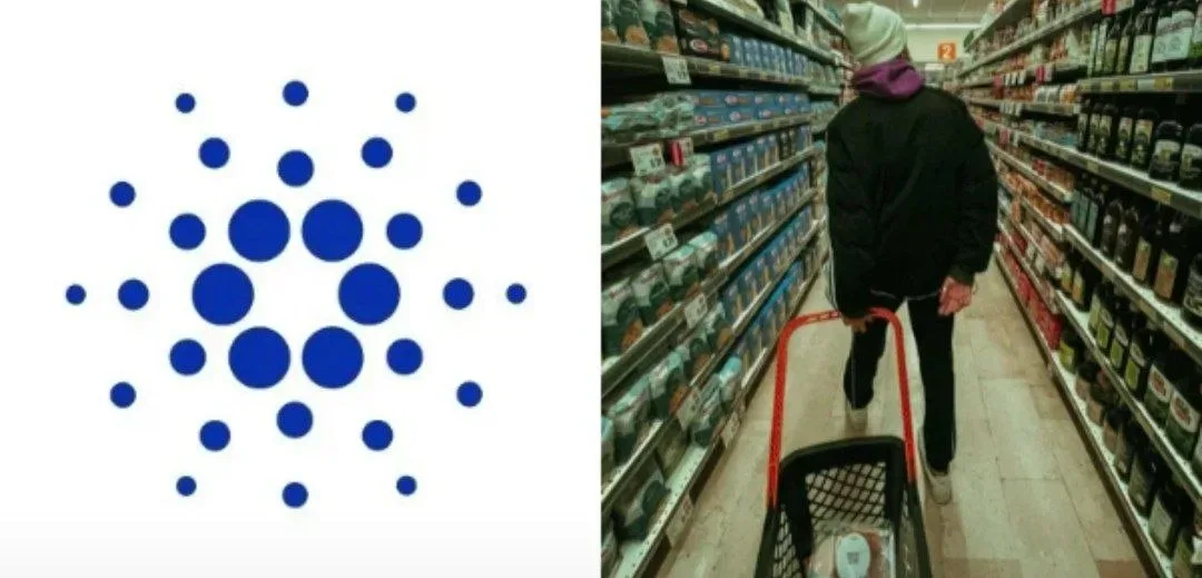 Cardano Powers Open Food Chain Supply-Trace Pilot With Kraft Heinz and Interfood