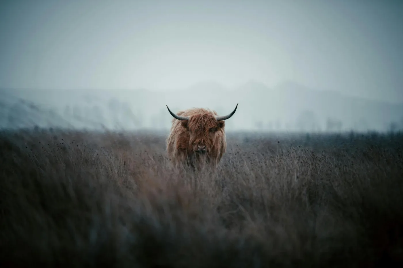 Bitcoin’s 44% Q3 Rally Revives Full Crypto Bull-Market Hopes